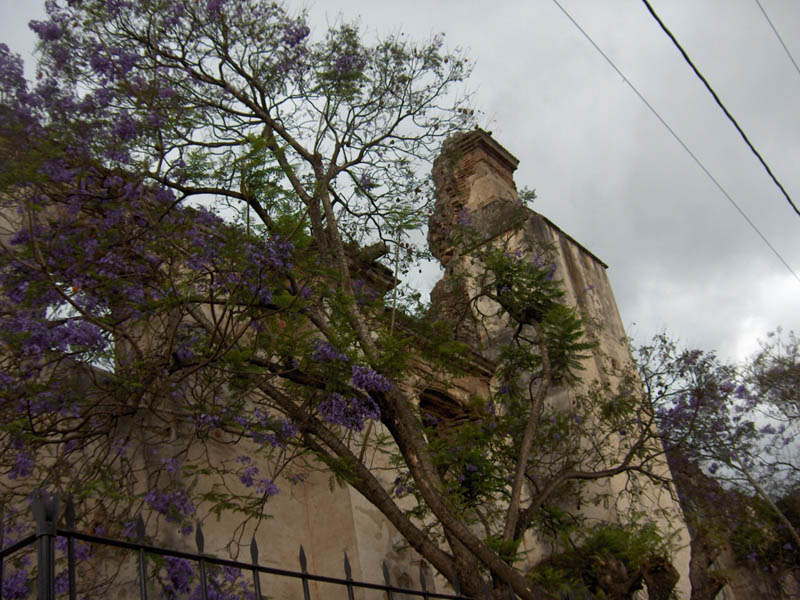 Cathedral