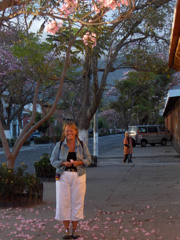 Sharon and the Blossoms
