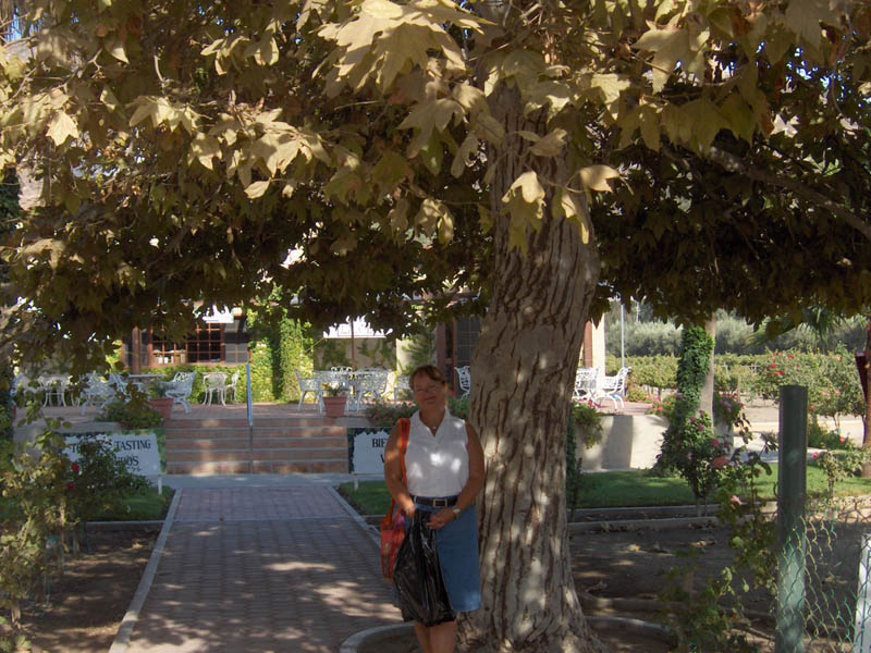 90 Sharon at the Baja Winery