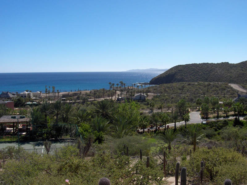 Bay of Dreams Panarama I