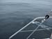 Dalls Porpoise to starboard