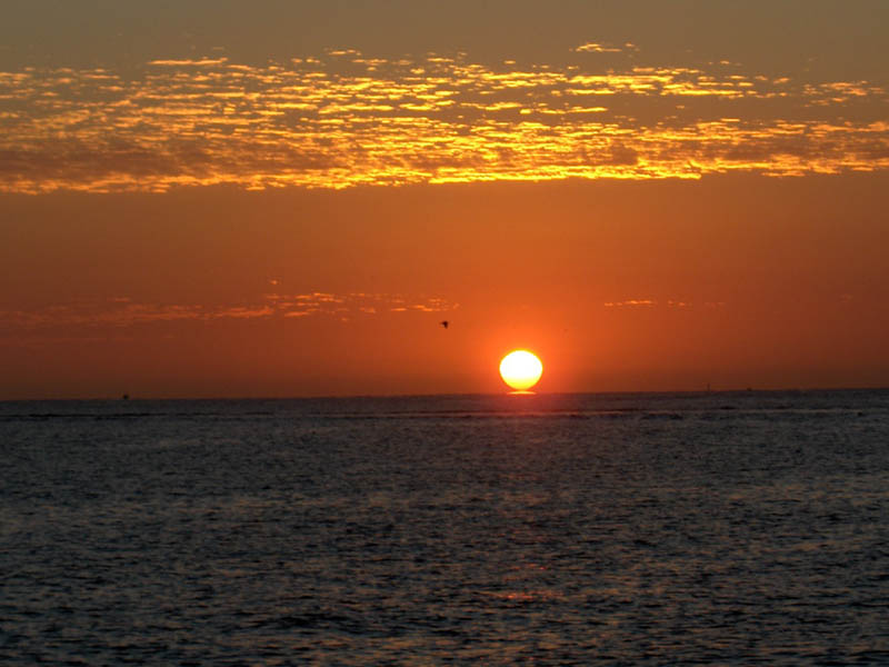 Sun Rise III