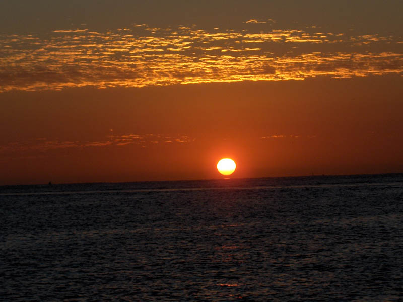 Sun Rise IV