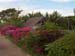 Flowered Walk Way