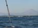 Guide Boat Not keen on Crossing into Del Sol