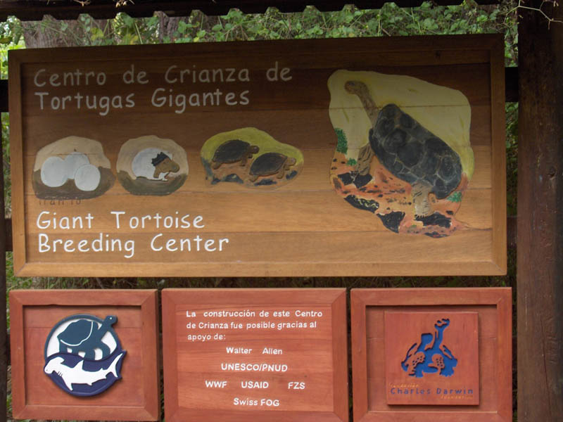 At the Entrance