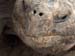 Galapagos live to 150 years