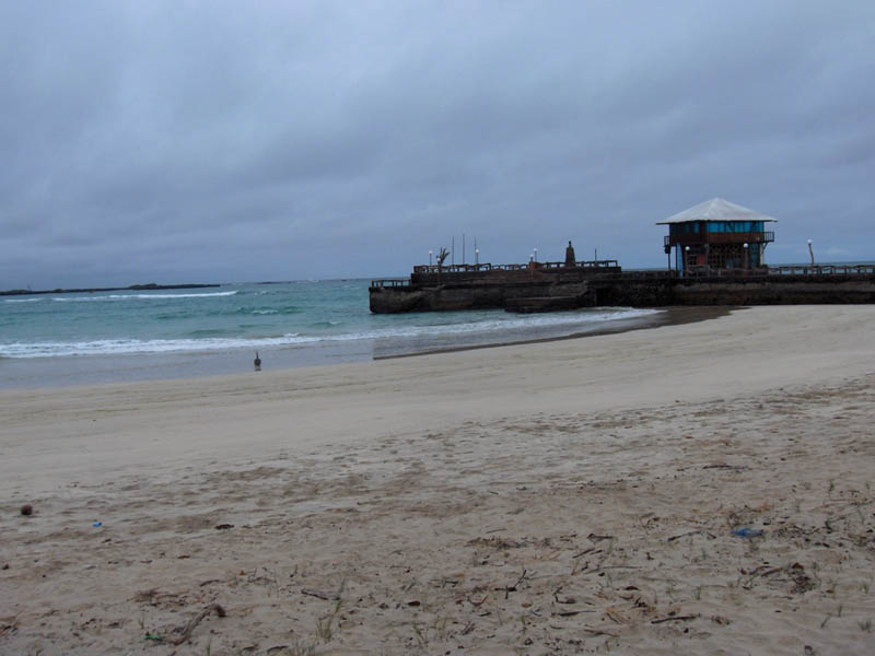 Beautiful sandy beach