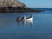 Maestra Landing