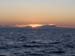 Whale in the Dawn