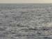 The two white spots are the Manta's wing tips - about 10 feet accross