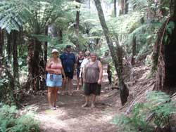 Kawau Island has lots of terrific hiking trails