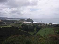 East coast of Great Barrier Island