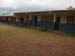 The School