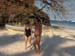 Harald and Iris - German acquaintences living and working in Panama City