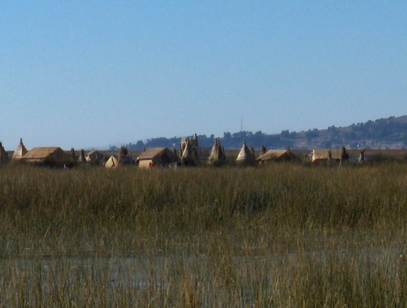 Village in the Reeds
