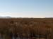 City in the Reeds