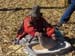 Grinding the corn