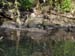 Crock waiting in the water for you