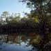 From the Water Surface