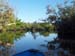 Jungle Waters