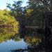 Reflections II