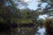 Sky Trees and Water