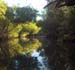 Still Waters