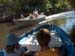 Traffic in the Jungle