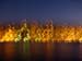 360 San Franciso on fire - (accidental time exposure,  but kinda cool