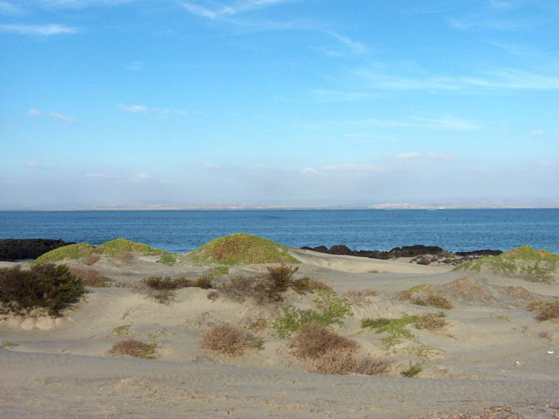 San Quintin 180 Pan - East North East