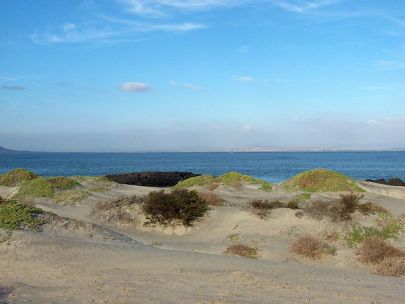 San Quintin 180 Pan - East North North East
