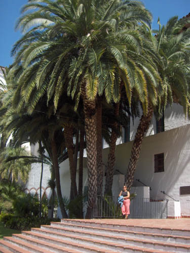 Gal Under Palm
