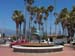 Dolphins at Stearns Wharf