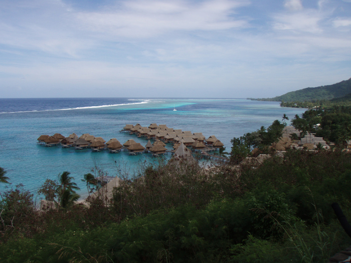 Moorea vista