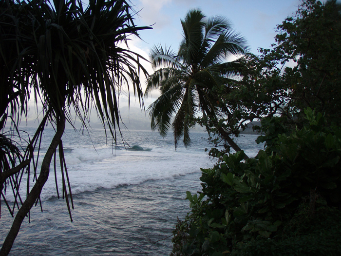 Tahitian Shores