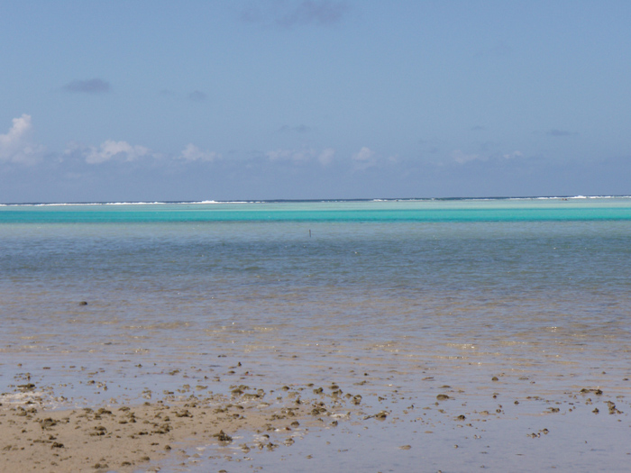 Fringing reef