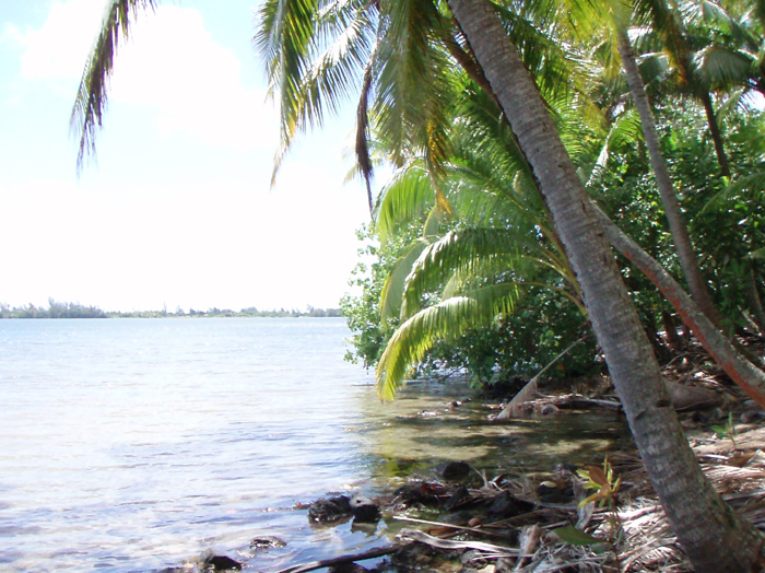 Lagoon