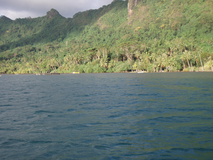 Shore and mountain and lush growth