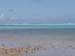 Fringing reef