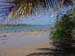 Palm over lagoon