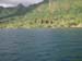Shore and mountain and lush growth