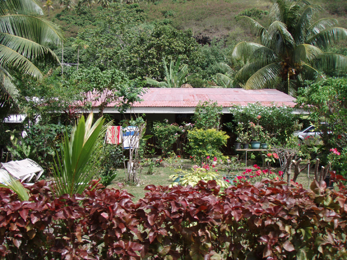 Nice Garden