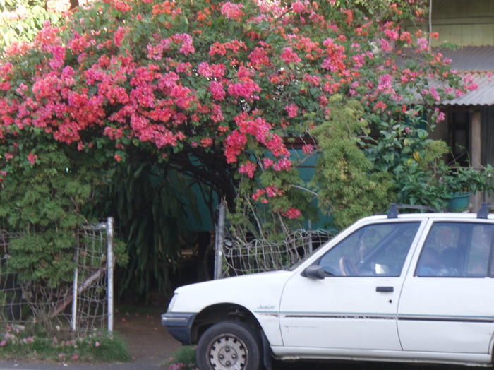 Last house in downtown Tahiti