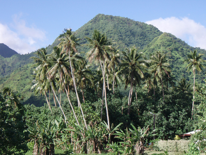 Oh Tahiti