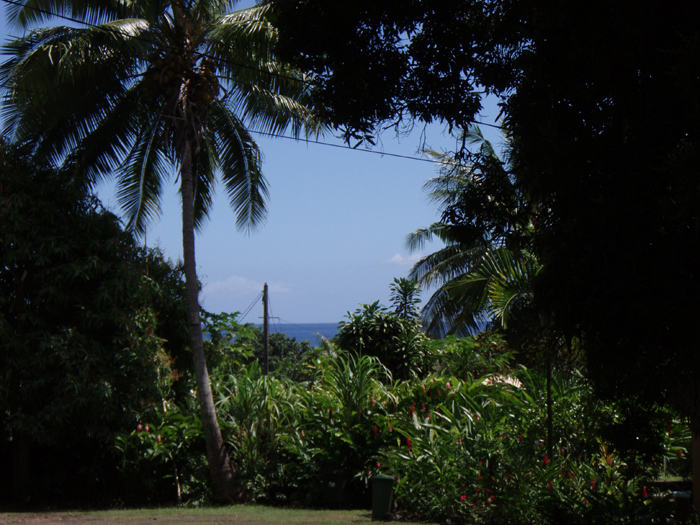 See the sea through the trees