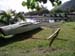 Cool Outrigger