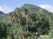 Oh Tahiti