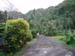 Road to the water fall