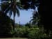 See the sea through the trees